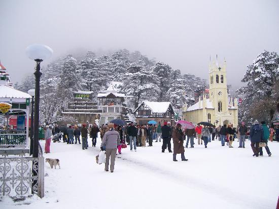 Complete tour Shimla